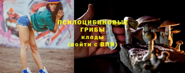 крисы Баксан