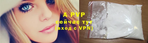 крисы Баксан