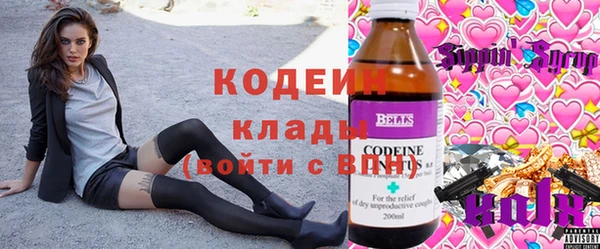 крисы Баксан
