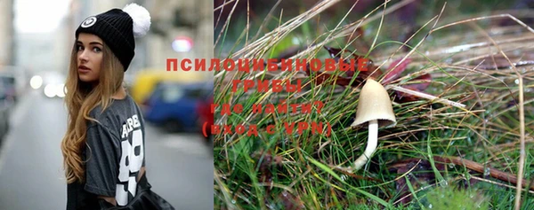 прущая мука Снежногорск