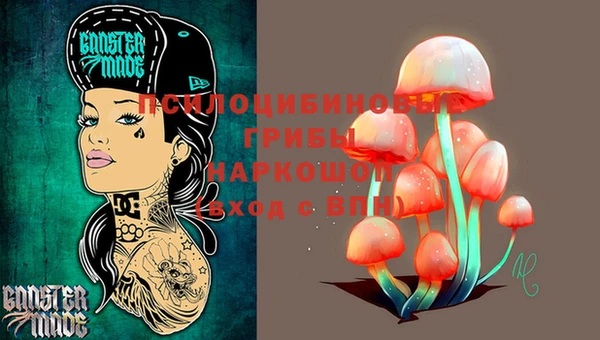 крисы Баксан