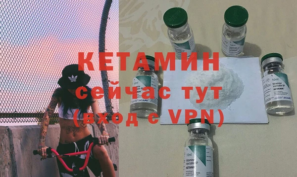 крисы Баксан