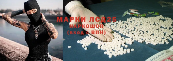 крисы Баксан