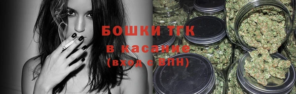 крисы Баксан