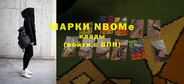 крисы Баксан
