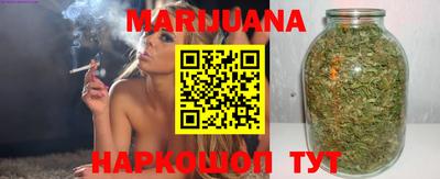 сатива Бийск