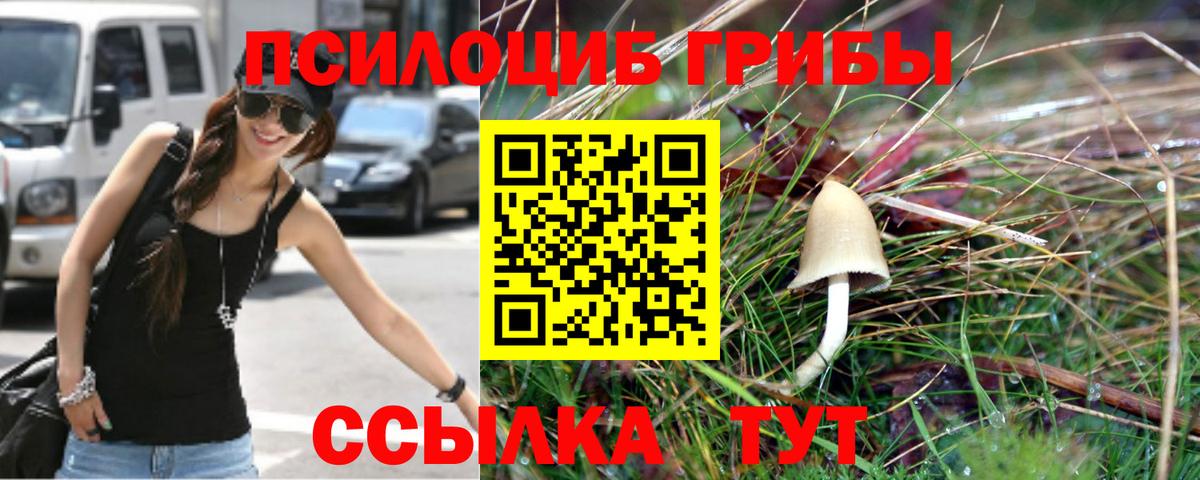 Псилоцибиновые грибы прущие грибы Верхний Уфалей